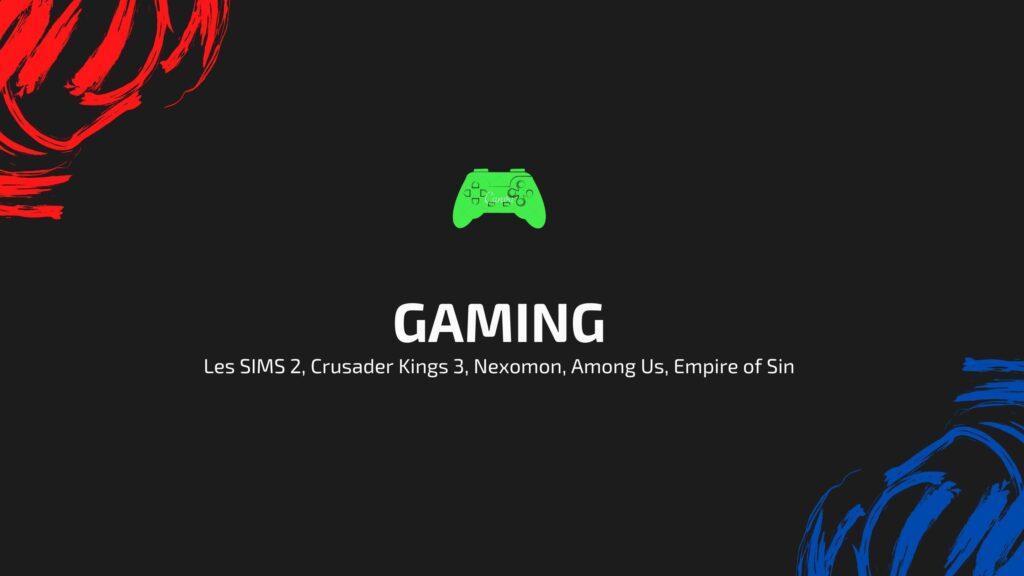 Hobby : les jeux vidéos comme les sims 2, Crusander kings, Among us, Kingdom Délivrance 1 et 2...